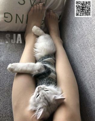 日韩性感车模_电影网在线观看